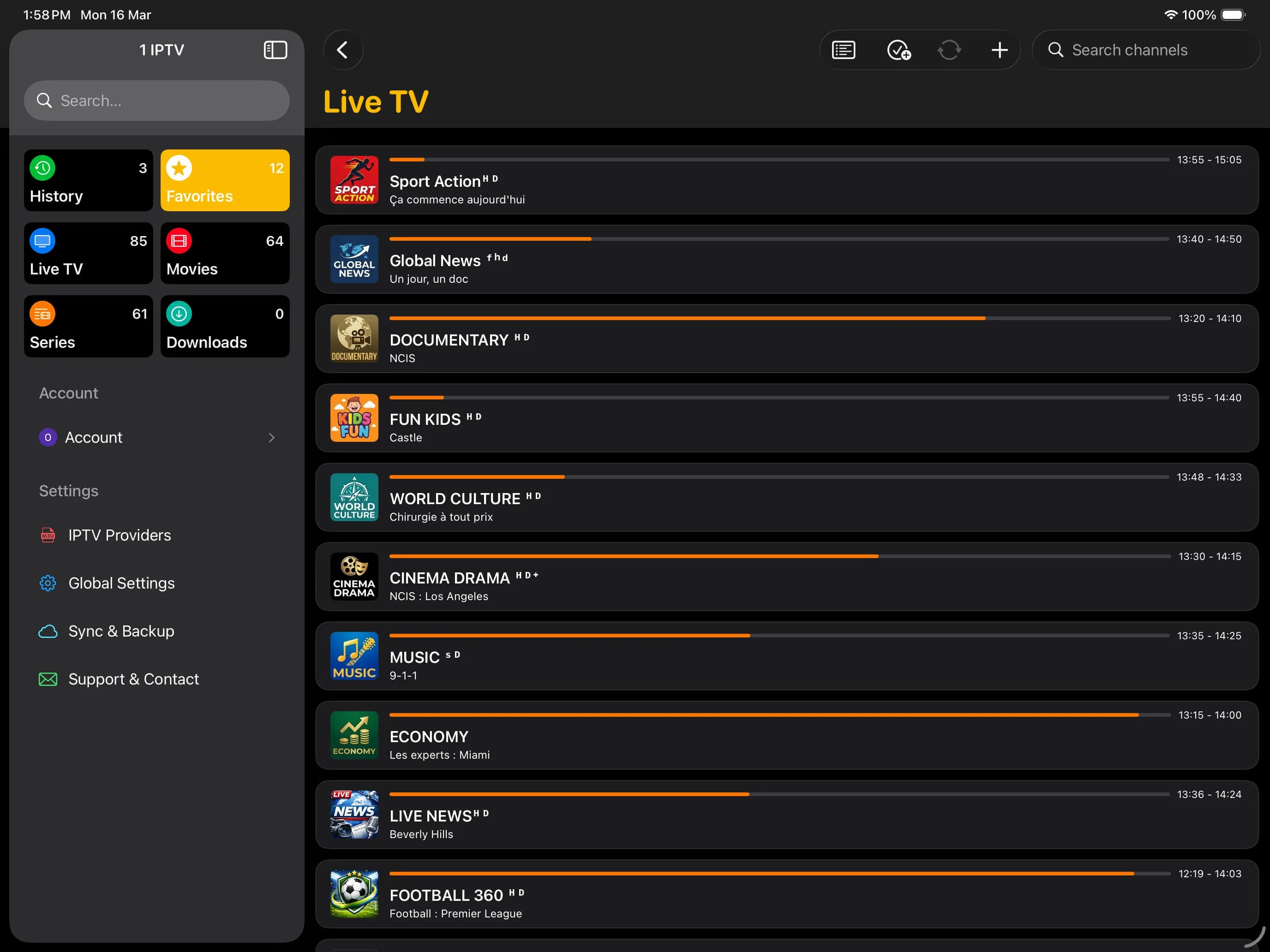 ipad Screenshot 5